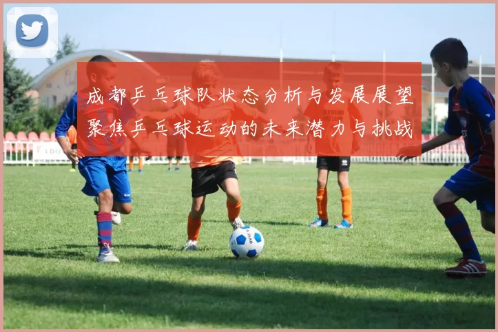 成都乒乓球队状态分析与发展展望聚焦乒乓球运动的未来潜力与挑战