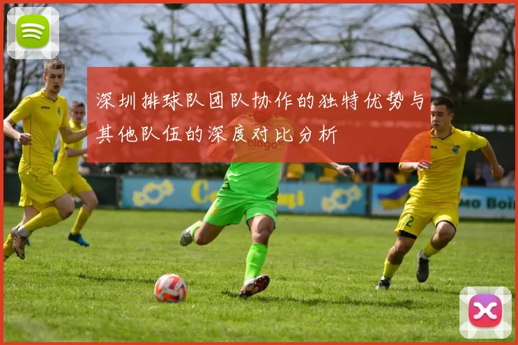 深圳排球队团队协作的独特优势与其他队伍的深度对比分析