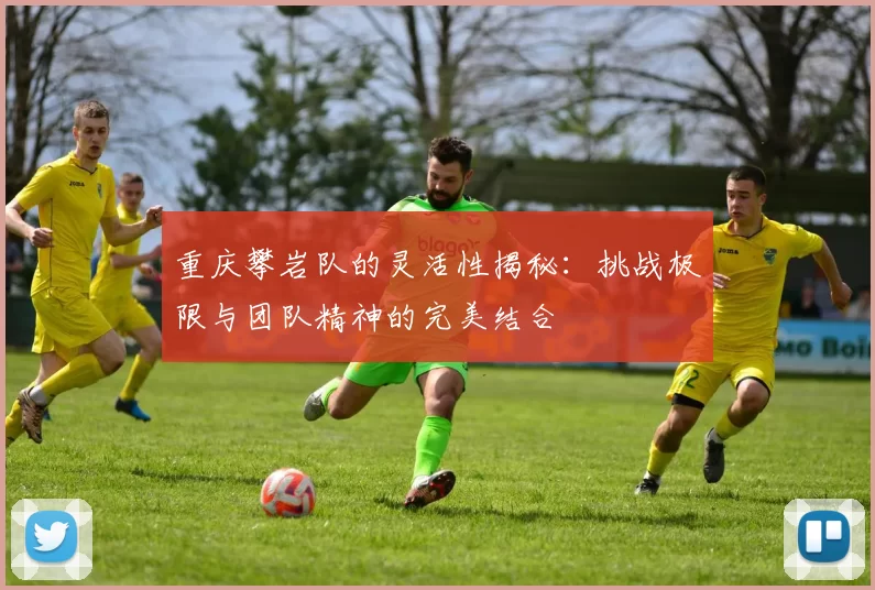 重庆攀岩队的灵活性揭秘：挑战极限与团队精神的完美结合