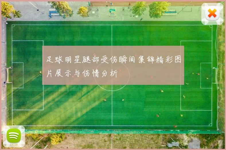 足球明星腿部受伤瞬间集锦精彩图片展示与伤情分析