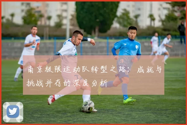 南京极限运动队转型之路：成就与挑战并存的深度分析
