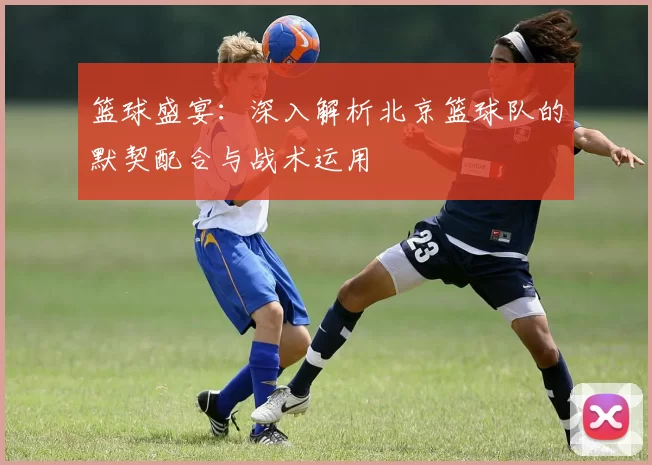 篮球盛宴：深入解析北京篮球队的默契配合与战术运用