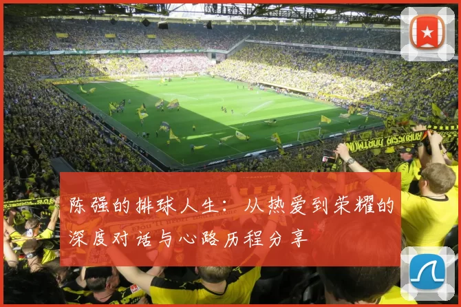 陈强的排球人生：从热爱到荣耀的深度对话与心路历程分享
