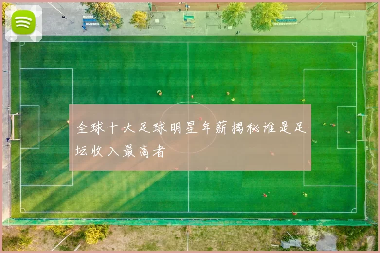 全球十大足球明星年薪揭秘谁是足坛收入最高者