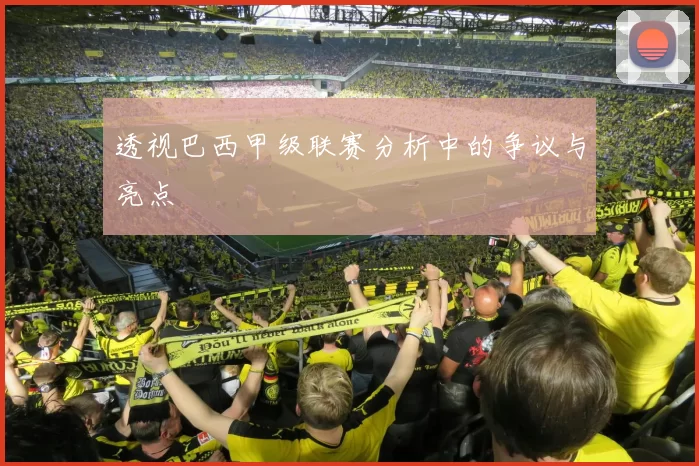 透视巴西甲级联赛分析中的争议与亮点