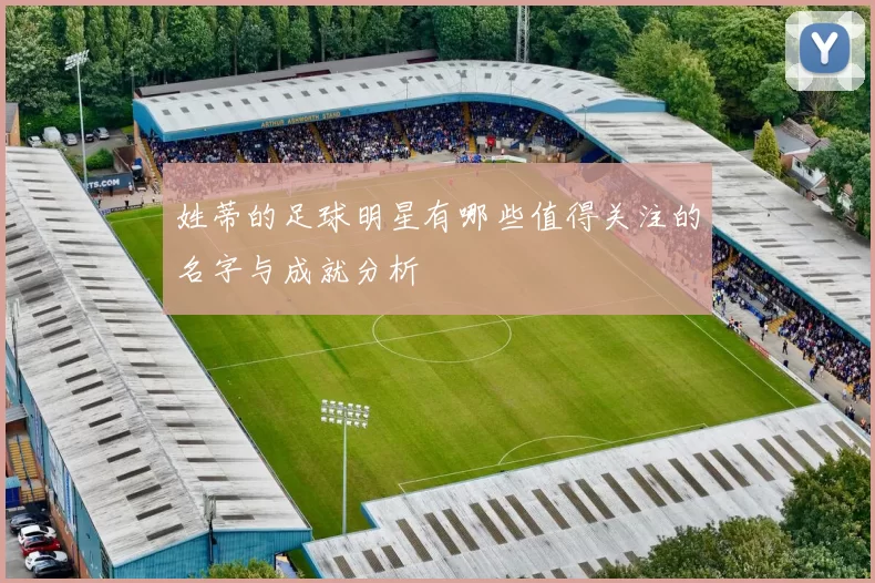 姓蒂的足球明星有哪些值得关注的名字与成就分析