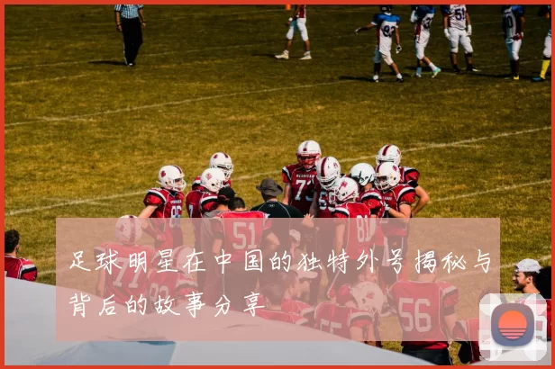 足球明星在中国的独特外号揭秘与背后的故事分享