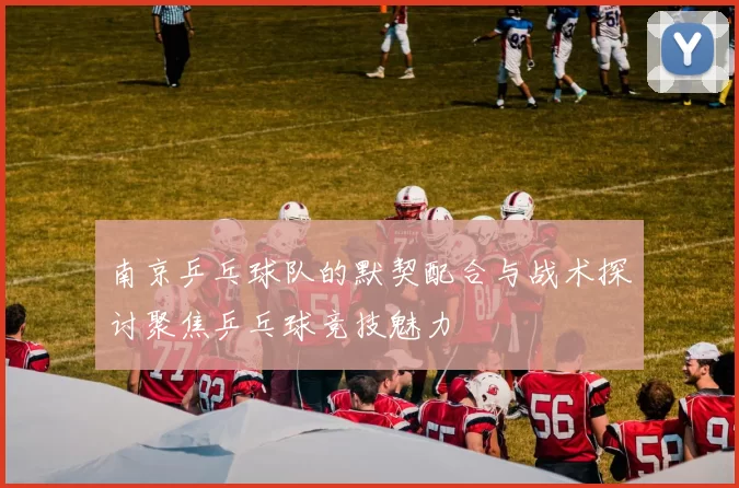 南京乒乓球队的默契配合与战术探讨聚焦乒乓球竞技魅力