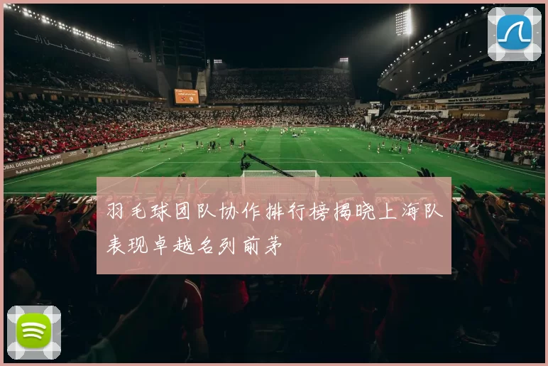 羽毛球团队协作排行榜揭晓上海队表现卓越名列前茅