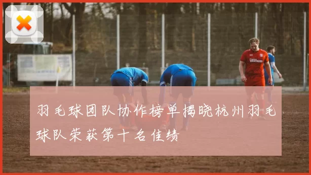 羽毛球团队协作榜单揭晓杭州羽毛球队荣获第十名佳绩