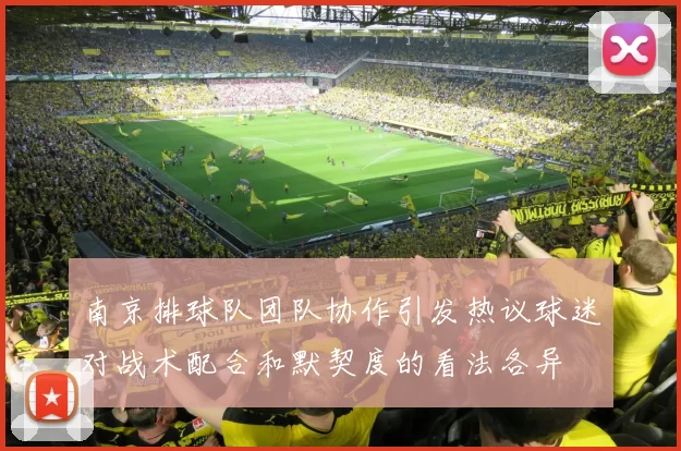 南京排球队团队协作引发热议球迷对战术配合和默契度的看法各异