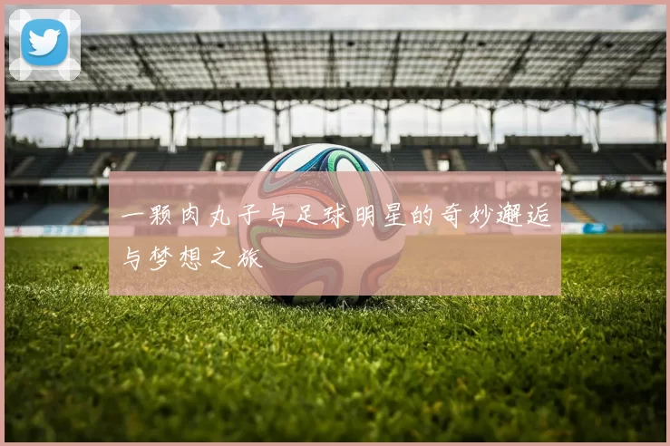 一颗肉丸子与足球明星的奇妙邂逅与梦想之旅