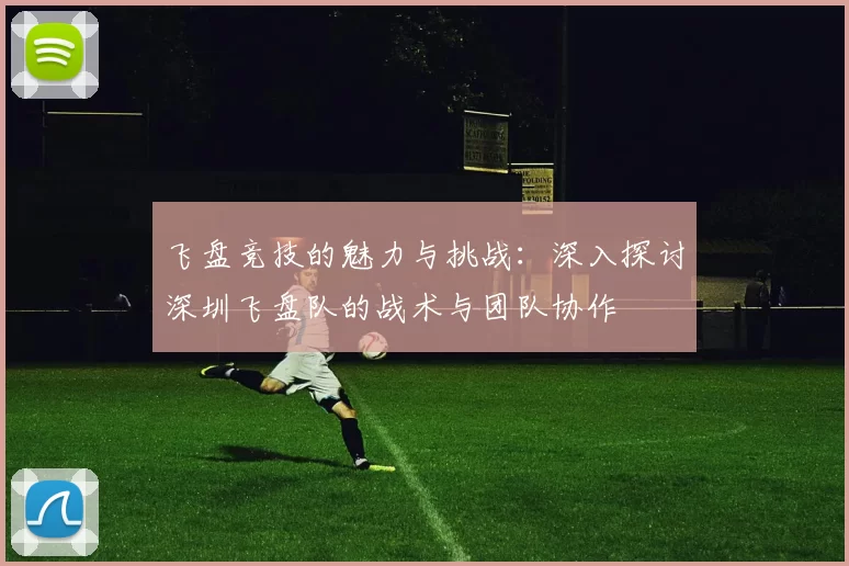 飞盘竞技的魅力与挑战：深入探讨深圳飞盘队的战术与团队协作