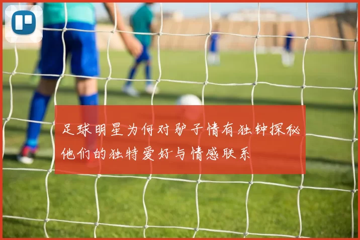 足球明星为何对驴子情有独钟探秘他们的独特爱好与情感联系