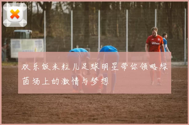 欢乐饭米粒儿足球明星带你领略绿茵场上的激情与梦想