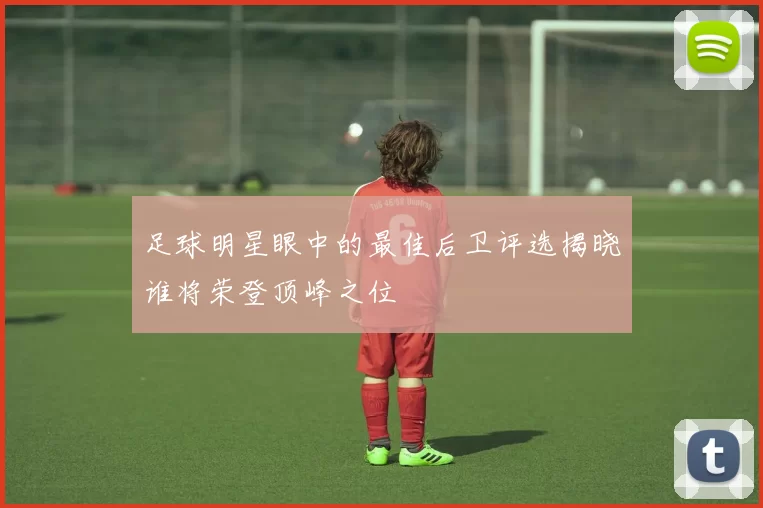 足球明星眼中的最佳后卫评选揭晓谁将荣登顶峰之位