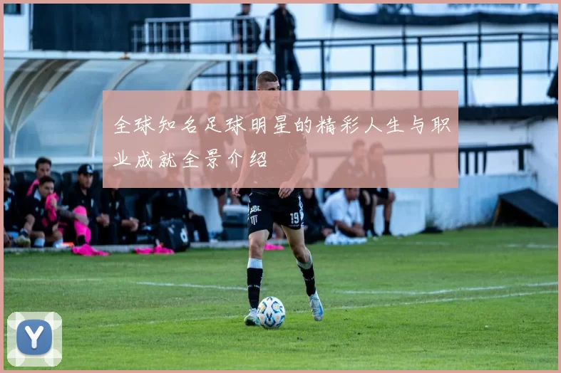 全球知名足球明星的精彩人生与职业成就全景介绍