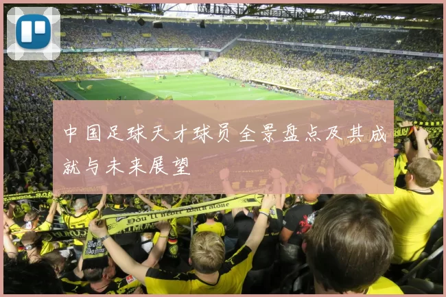 中国足球天才球员全景盘点及其成就与未来展望