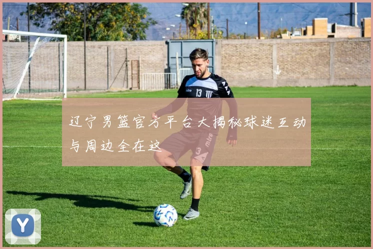 辽宁男篮官方平台大揭秘球迷互动与周边全在这
