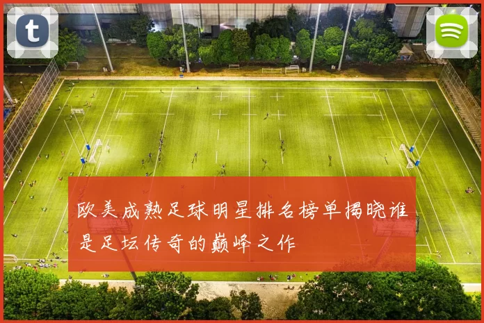 欧美成熟足球明星排名榜单揭晓谁是足坛传奇的巅峰之作