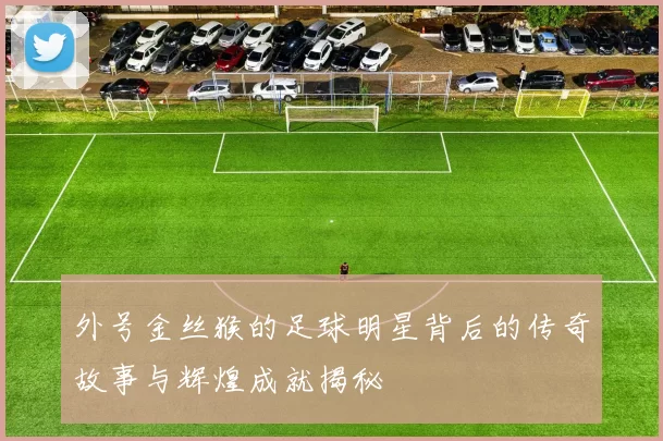 外号金丝猴的足球明星背后的传奇故事与辉煌成就揭秘