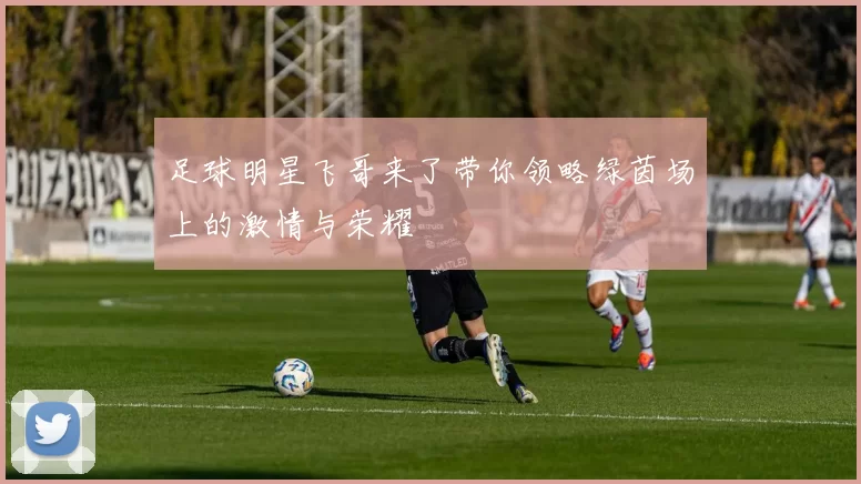 足球明星飞哥来了带你领略绿茵场上的激情与荣耀