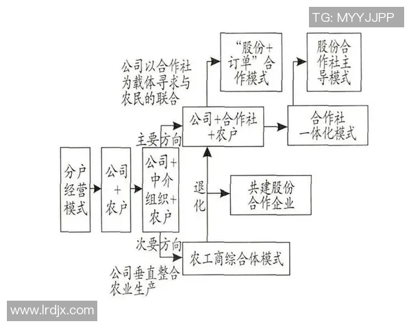 以赞助商为核心推动力的品牌合作模式探索与创新策略分析